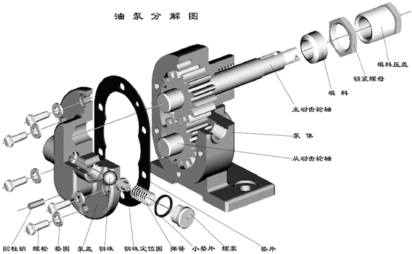 齒輪油泵分解圖