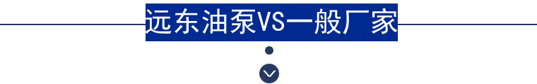 遠(yuǎn)東齒輪油泵