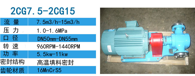 2CG硬齒面渣油泵