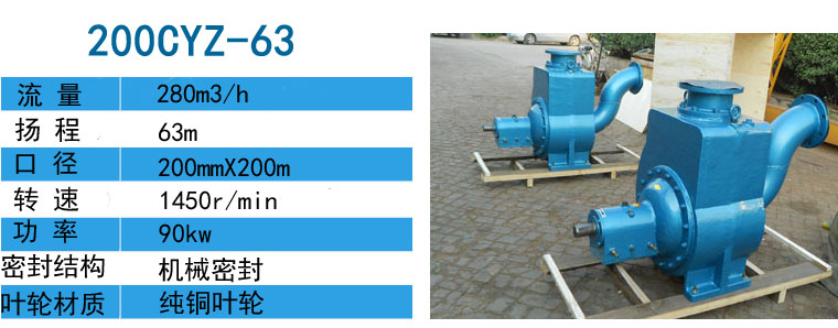 200CYZ-63自吸式離心油泵