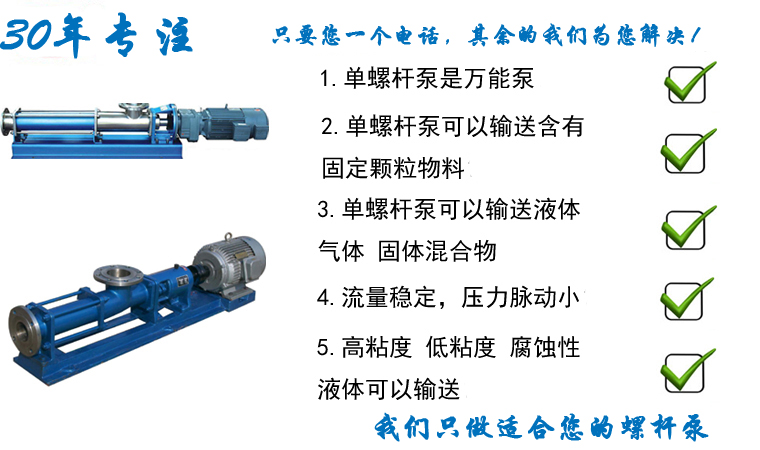 G型單螺桿泵