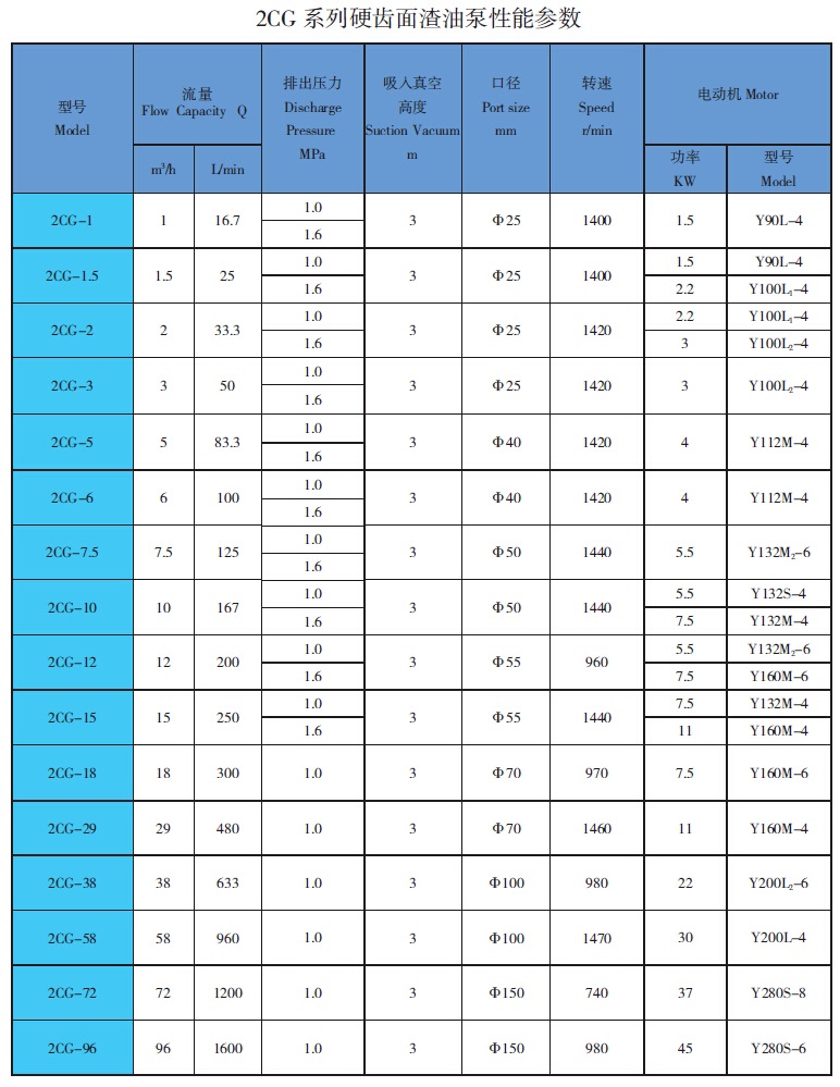 2CG高溫渣<a href='/product/' class='keys' title='點擊查看關于油泵的相關信息' target='_blank'>油泵</a>參數