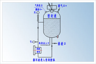 高粘度泵雙端面機(jī)械密封