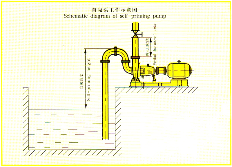 自吸式離心油泵吸入高度示意圖