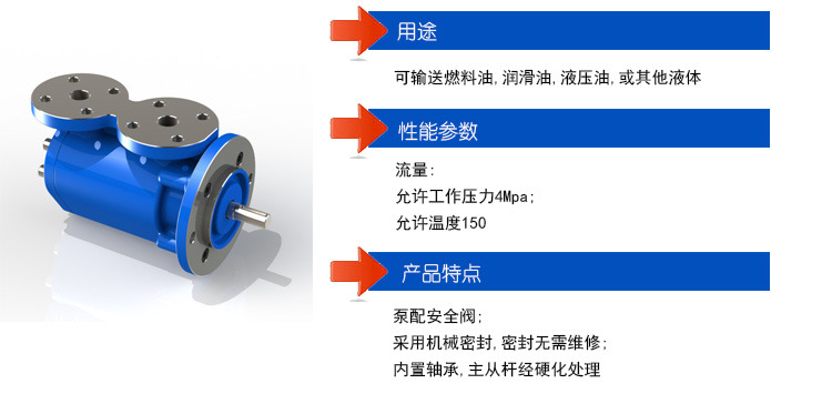 SPF40R46G10W21螺桿泵泵頭安裝尺寸圖